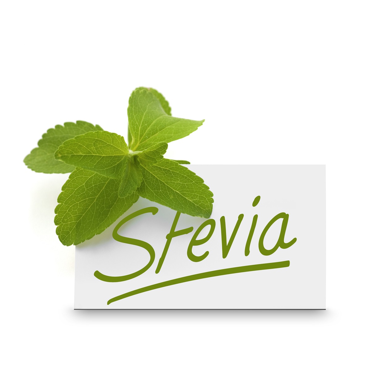 stevia.jpg